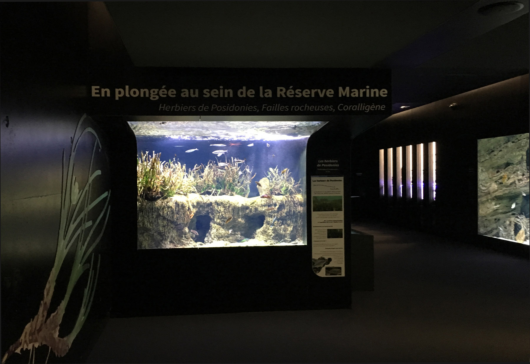 Biodiversarium - aquarium et laboratoires de recherches_Vue sur les bassins